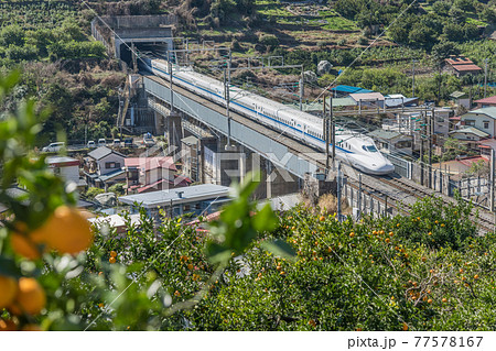 【ミカン畑を疾走する東海道新幹線N700A】 【ミカン畑を疾走する東海道新幹線N700A】 77578167