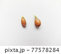 レモンの種 77578284