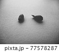 発芽した種　モノクロ 77578287