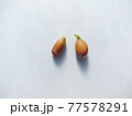 レモンの種 77578291