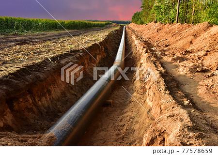 Construction Gas Pipeline Project on amazing sunset background. Natural Gas and Crude  77578659