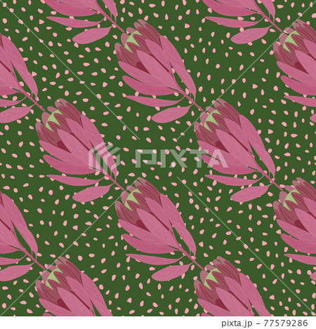 Pale purple hand drawn protea flowers seamless pattern. Green dotted background. Nature backdrop. Pale purple hand drawn protea flowers seamless pattern. Green dotted background. Nature backdrop. 77579286