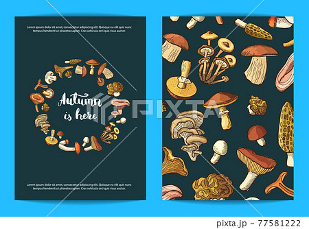 hand drawn mushrooms card, flyer or brochure template illustration hand drawn mushrooms card, flyer or brochure template illustration 77581222