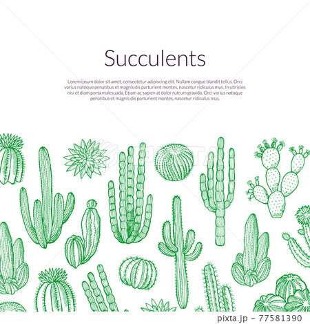 hand drawn wild cacti plants background with place for text illustration 77581390