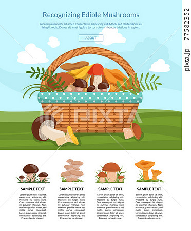 landing page illustration with cartoon mushrooms landing page illustration with cartoon mushrooms 77582352
