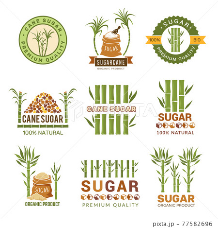 Sugarcane plants. Harvest farm sweets granulated production leaf symbols isolated 77582696