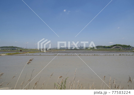 風景 ノン 米 77583224