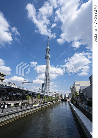 浅草から見える運河沿いの東京スカイツリー 77583247