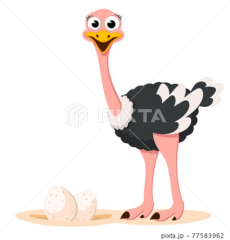 Ostrich and nest with eggs. The character 77583962
