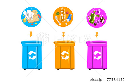 Waste Sorting and Litter Recycling with Dustbin with Different Trash Vector Set Waste Sorting and Litter Recycling with Dustbin with Different Trash Vector Set 77584152