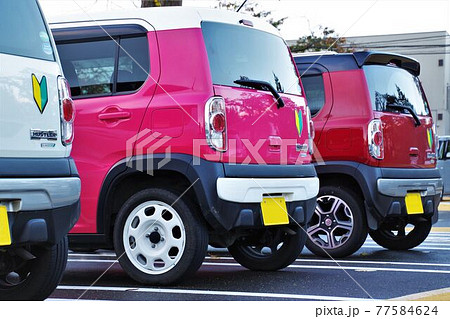 初心者マークを付けた同じ車が3台並んで駐車 77584624
