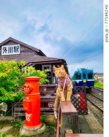 銚子電鉄の終着駅「外川」駅で、旅猫小春と赤いポストと昭和の駅舎 77586240