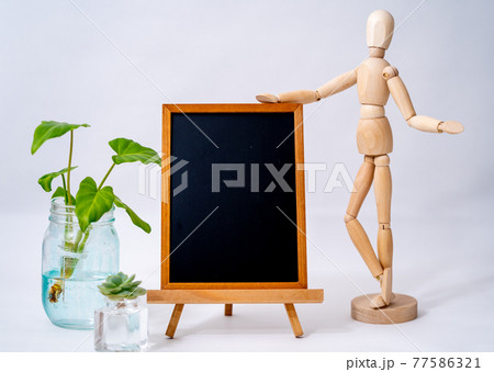 メッセージボードとデッサンドールと水耕栽培 77586321