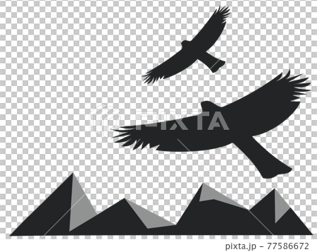 A hawk 77586672