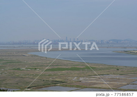 公園 風景 海 77586857