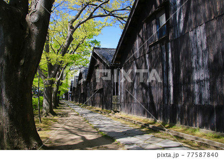 山居倉庫・さんきょそうこ(山形県・酒田市) 山居倉庫・さんきょそうこ(山形県・酒田市) 77587840