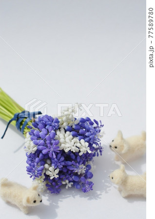 白色と紫色のムスカリの花束とフェルトの子犬の写真素材