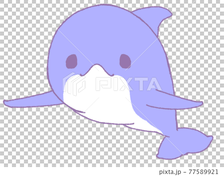 こちらを見るイルカ(青色) こちらを見るイルカ(青色) 77589921