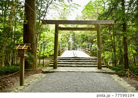 伊勢神宮の神秘的な風景 伊勢神宮の神秘的な風景 77590104