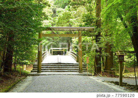 伊勢神宮の神秘的な風景 77590120