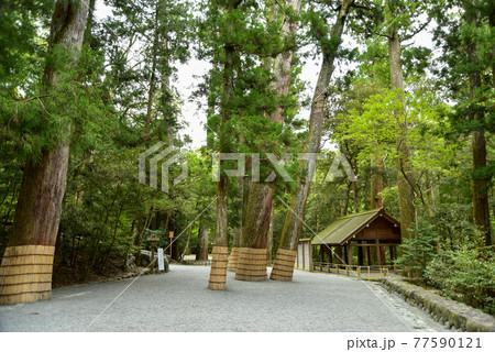 伊勢神宮の神秘的な風景 77590121