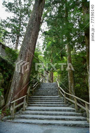 伊勢神宮の神秘的な風景 77590140