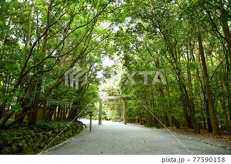 伊勢神宮の神秘的な風景 伊勢神宮の神秘的な風景 77590158