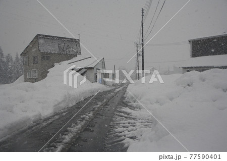 消雪パイプと住宅街（新潟県南魚沼市） 77590401