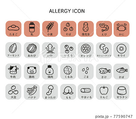 食物アレルギーアイコン 特定原材料7品目 表示推奨21品目 のイラスト素材