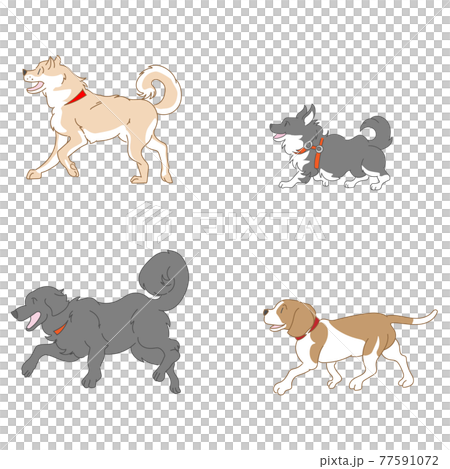 犬4種のベクターセット 77591072