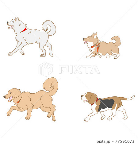 犬4種類のベクターセット 77591073