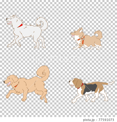 犬4種類のベクターセット 77591073