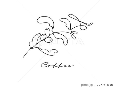 Coffee plant single line on white background. Outline minimal drawing. Coffee plant single line on white background. Outline minimal drawing. 77591636