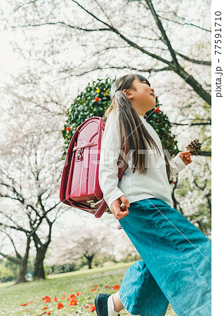 小学校新一年生 77591710