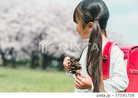 小学校新一年生 77591736