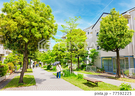 閑静な住宅街 多摩ニュータウン 閑静な住宅街 多摩ニュータウン 77592225