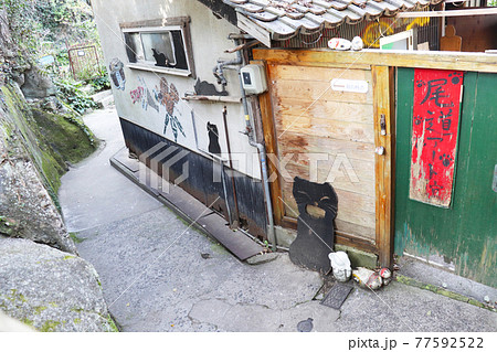 尾道「猫の細道」 尾道「猫の細道」 77592522