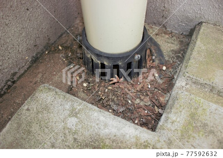 ゴミの溜まった排水溝 ゴミの溜まった排水溝 77592632