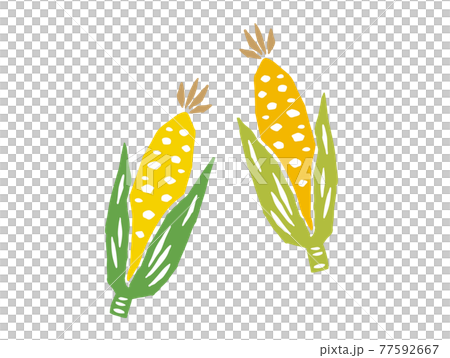 トウモロコシ　レトロなイラスト 77592667
