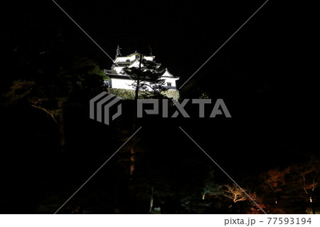 玄宮園から見た彦根城のライトアップの写真素材