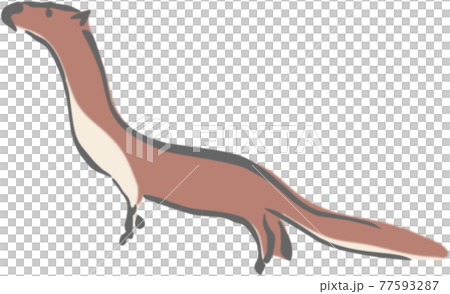 "Bird and beast sketch type" Weasel 蕙 sai (Weasel) "Bird and beast sketch type" Weasel 蕙 sai (Weasel) 77593287