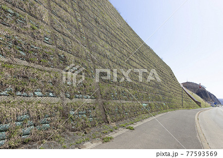 石狩市浜益地区国道の法面 石狩市浜益地区国道の法面 77593569