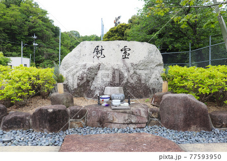 似島 77593950