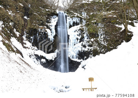 冬の玉簾の滝 冬の玉簾の滝 77594108
