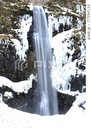 冬の玉簾の滝 77594110