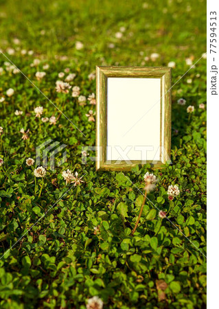 芝生に置いてある写真立て 芝生に置いてある写真立て 77594513
