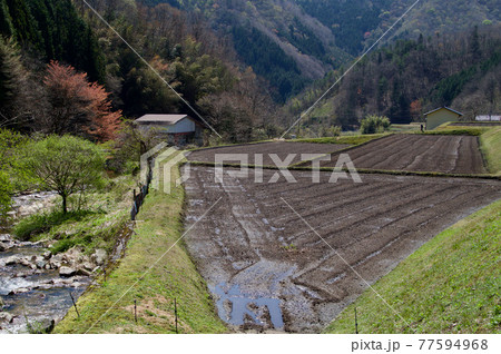 農村風景春、田んぼ、農作業点景 77594968