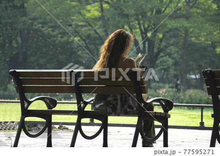 公園のベンチで読書に熱中する女性の後ろ姿は どことなく神々しさを醸し出していた の写真素材