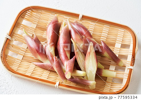 ザルに盛られた茗荷 77595334