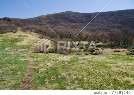 春の吾妻山　草原の登山道と小弥山と山頂　青空 77595540
